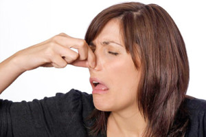 Ooooh that smell! Can't you smell that smell?